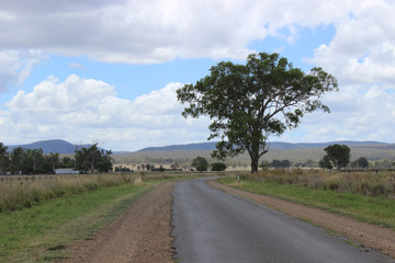 Naklejka premium Road to mountains with tree