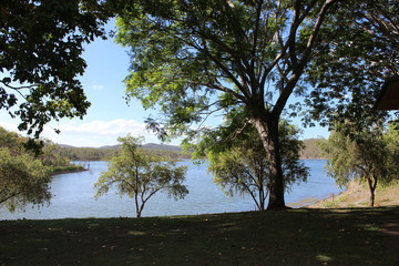 Lake with dam and trees on bank