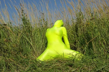 Zelfklevend Fotobehang ufo alien strange faceless creature on the field © goldeneden