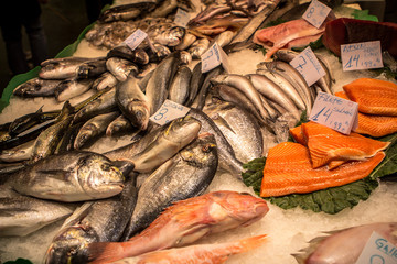 Fresh seafoods at the market in Barcelona