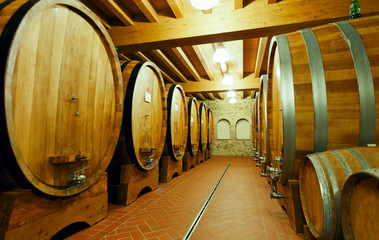 Wooden barrels with wine in a wine vault, Italy