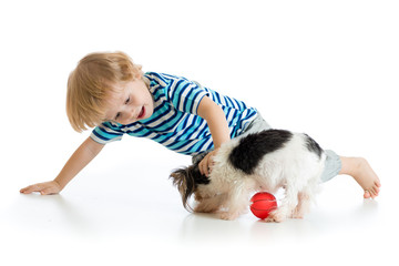 Little boy playing with dog, isolated on white background