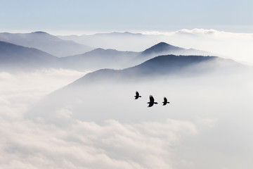 Silhouettes of mountains in the mist and bird flying - 147084949