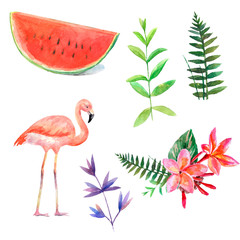 Watercolor set with tropical elements.Flamingo,watermelon,frangipani.