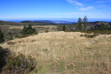 Prairie dans les Pyrénées audoises, Occitanie dans le sud de la France