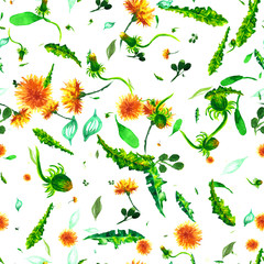 Fototapety  Akwarela kwiatowy bezszwowe patterny ellow mlecze. Rocznika retro letnie tło z polne kwiaty