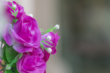 Pink flowers