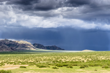Fototapeta premium Heavy thunderstorm during a summer day over the sparse Mongolian landscape