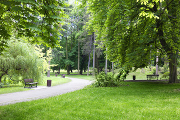 City park with bench and footpath - obrazy, fototapety, plakaty