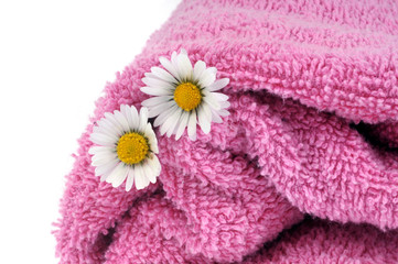 Pâquerettes dans une serviette de bain rose