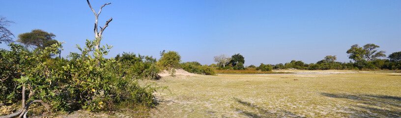 Okavango Delta
