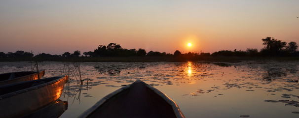 Okavango Delta - obrazy, fototapety, plakaty
