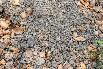 ground