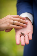 Wedding rings photography with frog on wrist