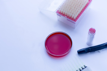 Blood test and experimental research analysis in laboratory.