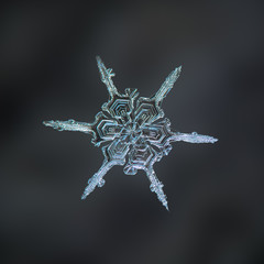 Real snowflake macro photo: small snow crystal with unusual shape and structure: long, simple,...