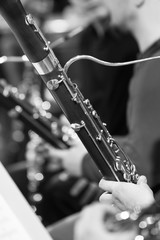 Fototapeta premium Detail of bassoon in the orchestra closeup in black and white