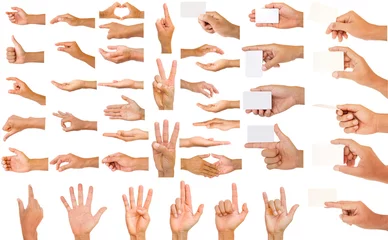 Fotobehang collection of hands © enterphoto