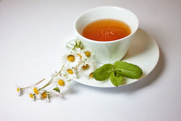 White cup with herbal camomile tea on the white background. Near are the small flowers of camomile and branch of mint