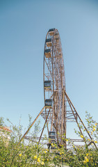 Fototapete bei efototapeten.de bestellen   