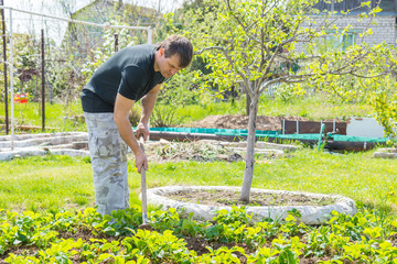 The man loosens the ground under the strawberries at their summer cottage