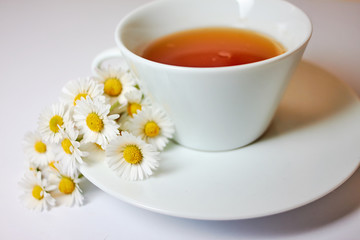 White cup with herbal camomile tea on the white background. Near are the small flowers of camomile.
