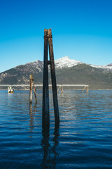 Remnants From Old Harbor Dock, Haines Alaska