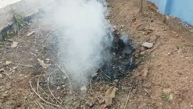 smoke from campfire in Thailand