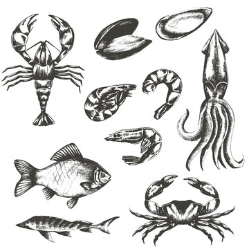 vector set of sketches