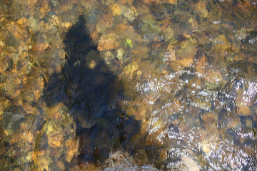 Small stream
