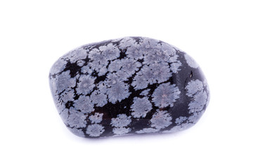 stone macro mineral obsidian snow on a white background