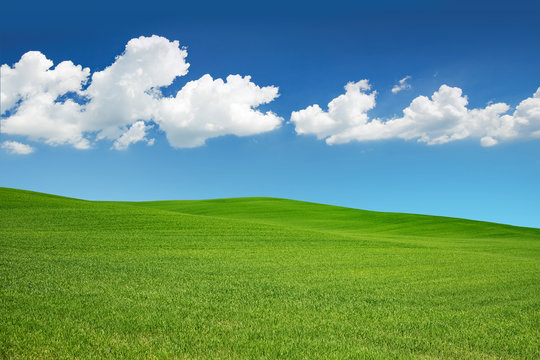 green meadow under a spring sky with white clouds.