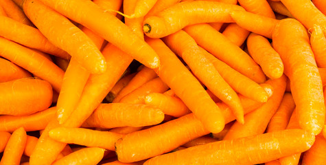 organic food carrot. background
