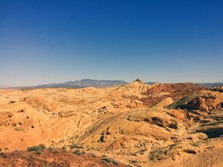 Naklejka premium Desert Landscape