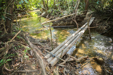 Bamboo bridge