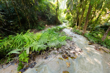 Paradise Sticky Waterfall in Thailand