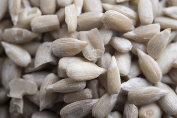 Sunflower seed