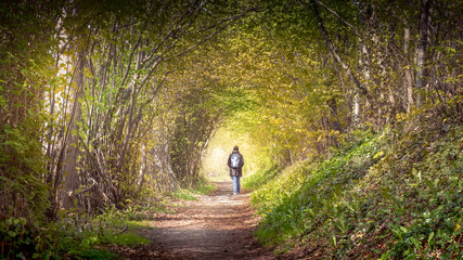 Spaziergang dem Licht entgegen in einem tunnelartigen Wald