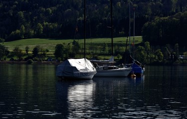 Obraz premium Greifensee