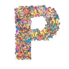 Letter R alphabet with butterfly ABC concept type as logo isolated on white background