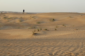 Fototapeta na wymiar Lonely Desert