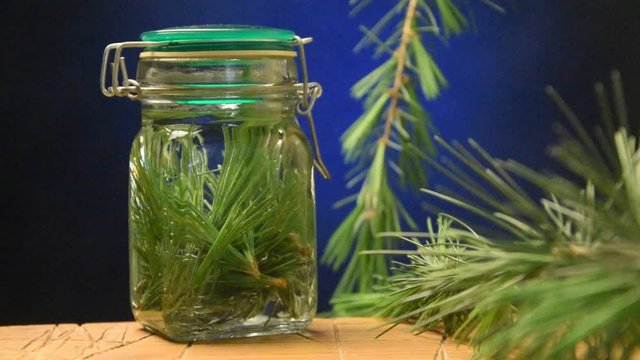 Pinus Syrup Сосна Sciroppo Sirup Siirappi Pino Jarabe Szirup Den Syrop Pin Xarope אורן Beintbaam Сироп Pine Stroop סירופ Sirop Tűnyal&aacute;bos fenyő Alternative medicine geslacht Sosna Medycyna