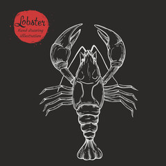 Vector sketch handmade of marine lobster