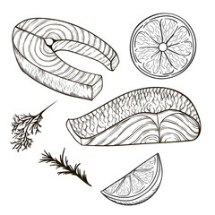 Set of vector sketches of the pieces of fish