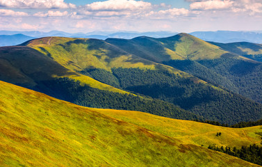 Fototapeta premium grassy meadow on hillside of mountain ridge