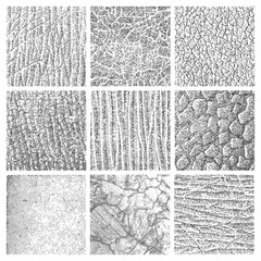 set of nine detailed grungy organic vector textures - 147171524