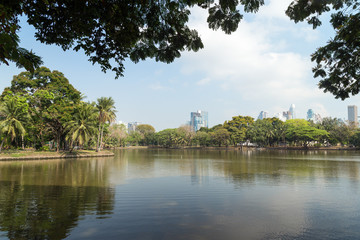 Fototapeta na wymiar View of palm trees and lake at the Lumpini (Lumphini) Park in Bangkok, Thailand.