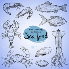 sketches of various seafood