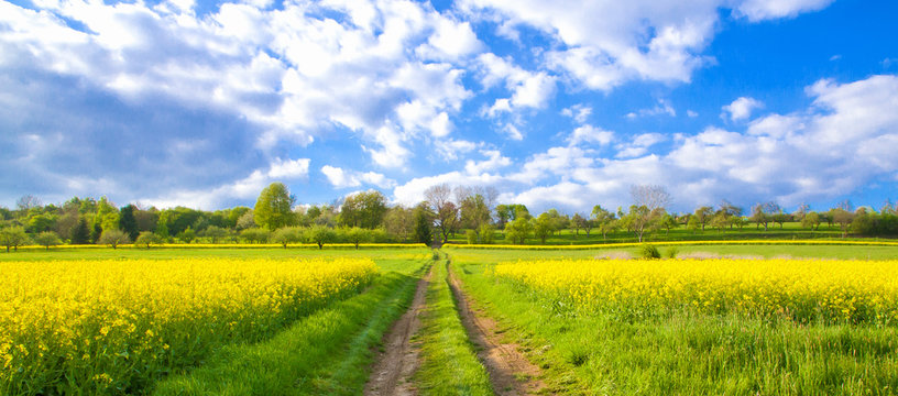Feldweg im Fr&uuml;hling bei Reichenbach an der Fils - Natur path in spring