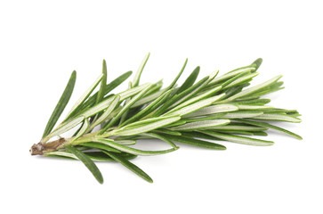 Fototapeta premium Fresh rosemary isolated